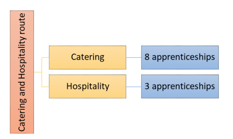 Catering and hospitality route, split into two section, catering has 8 apprenticeships and Hospitality has 3 apprenticeships